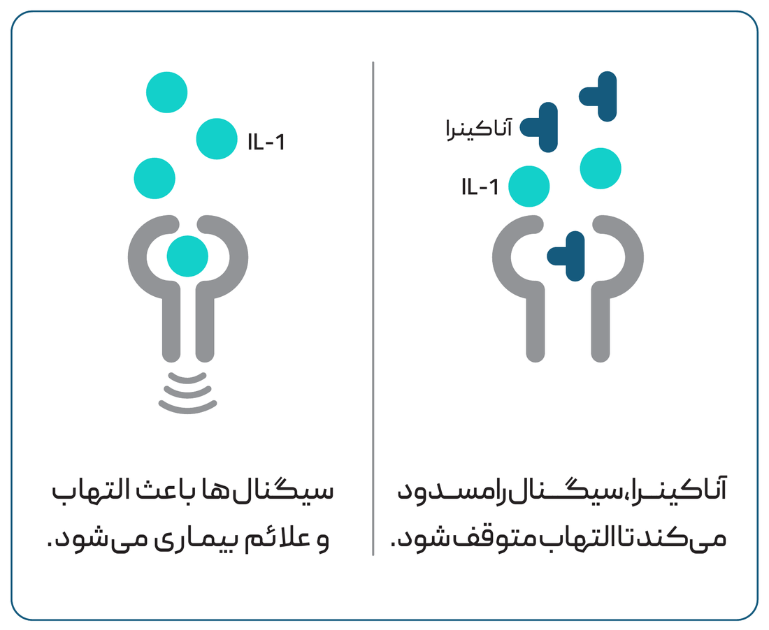 اینفوگرافیک مکانیسم اثر آناکینرا؛ سمت چپ: سیگنال‌های اینترلوکین-۱ باعث التهاب و علائم بیماری می‌شود؛ سمت راست: آناکینرا با اتصال به گیرنده، سیگنال را مسدود می‌کند تا التهاب متوقف شود